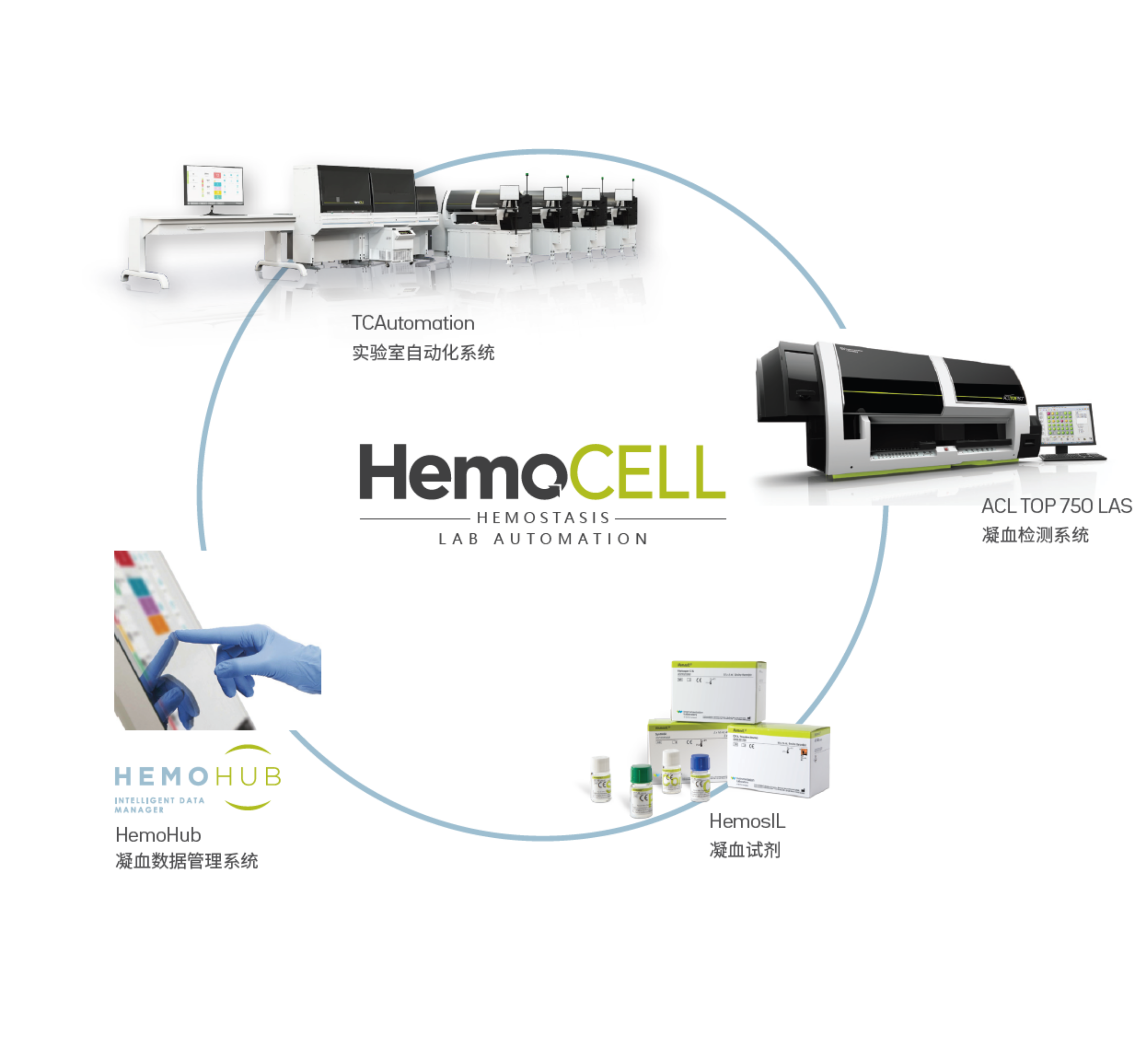 HemoCELL