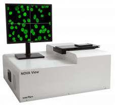 KV